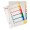 SEPARATOARE INDEX PLASTIC 1-6 IMPRIMABIL ESSELTE