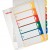 SEPARATOARE INDEX PLASTIC 1-6 IMPRIMABIL ESSELTE