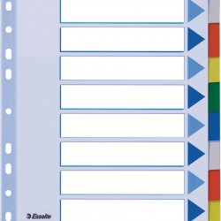 SEPARATOARE INDEX PLASTIC 10 CULORI ESSELTE