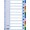 SEPARATOARE INDEX PLASTIC 10 CULORI ESSELTE