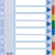 SEPARATOARE INDEX PLASTIC 10 CULORI ESSELTE