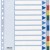 SEPARATOARE INDEX PLASTIC 12 CULORI ESSELTE