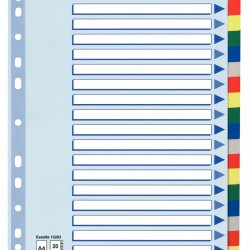 SEPARATOARE INDEX PLASTIC 20 CULORI ESSELTE