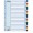 SEPARATOARE INDEX PLASTIC 20 CULORI ESSELTE