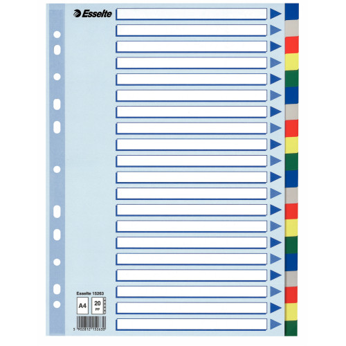 SEPARATOARE INDEX PLASTIC 20 CULORI ESSELTE