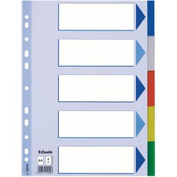 SEPARATOARE INDEX PLASTIC 5 CULORI ESSELTE