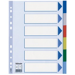 SEPARATOARE INDEX PLASTIC 6 CULORI ESSELTE