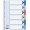 SEPARATOARE INDEX PLASTIC 6 CULORI ESSELTE
