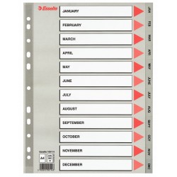 SEPARATOARE INDEX PLASTIC IAN-DEC ESSELTE