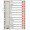 SEPARATOARE INDEX PLASTIC IAN-DEC ESSELTE