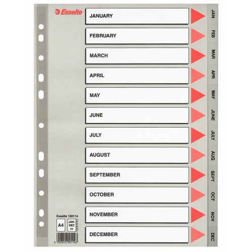SEPARATOARE INDEX PLASTIC IAN-DEC ESSELTE