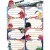 ETICHETE SCOLARE 40/SET ANGRY BIRDS PIGNA