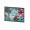 CAIET BIOLOGIE LICENTE ANGRY BIRDS PIGNA