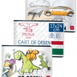 CAIET DESEN 16F 110G PIGNA