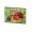 CAIET GEOGRAFIE 24F LICENTE ANGRY BIRDS PIGNA