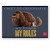 CAIET GEOGRAFIE 24F LICENTE PETS PIGNA
