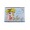 CAIET GEOGRAFIE 24F LICENTE PRINCESS PIGNA