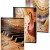 CAIET MUZICA A4 24F COLOR PIGNA