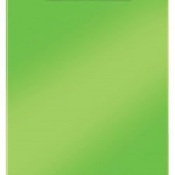 CLIPBOARD SIMPLU VERDE WOW LEITZ