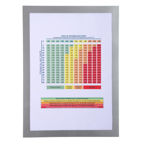 FOLIE MAGNETICA A4 MARGINE ARGINTIE EXACOMPTA