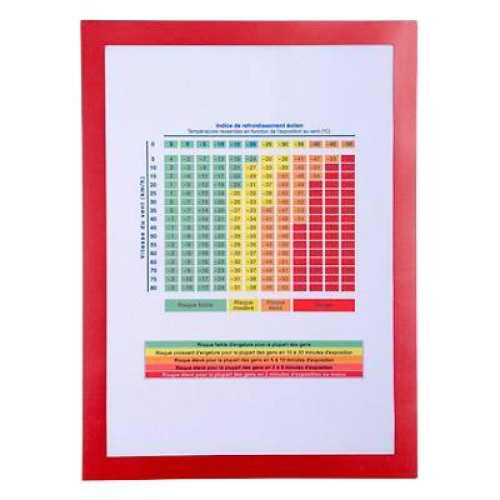 FOLIE MAGNETICA A4 MARGINE ROSIE EXACOMPTA