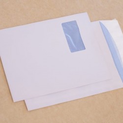 PLIC C4 SILICON FER ST 50*100MM 100G 229*324MM TIP T 250/C GPV