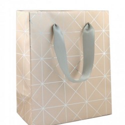 PUNGI CADOU WISH & SHINE L 240*100*335MM ROTOLUX