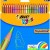 CREIOANE COLORATE 24 CULORI TROPICOLORS BIC
