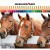 CREIOANE COLORATE 36 CULORI CUTIE METAL EBERHARD FABER