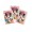 COPERTI CAIET A5 MINNIE PIGNA