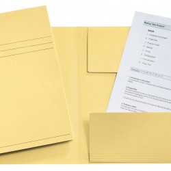 DOSAR CARTON PLIC GALBEN ESSELTE