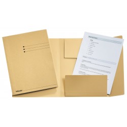 DOSAR CARTON PLIC SCOICA ESSELTE