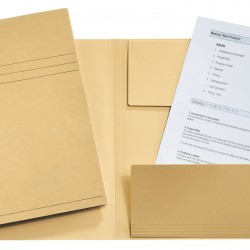 DOSAR CARTON PLIC SCOICA ESSELTE