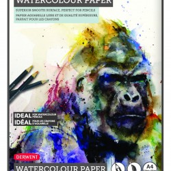 BLOC DESEN A4 300G 12 FILE BAZA APA PROFFESIONAL DERWENT