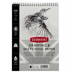 CAIET SPIRA PT SCHITE SI DESEN A4 30F 165G PROFESSIONAL DERWENT